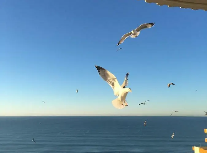 Ma Vue En Algarve 公寓 波尔蒂芒